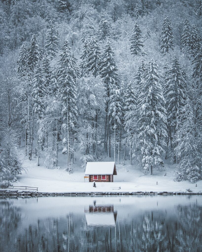 a lake during winter