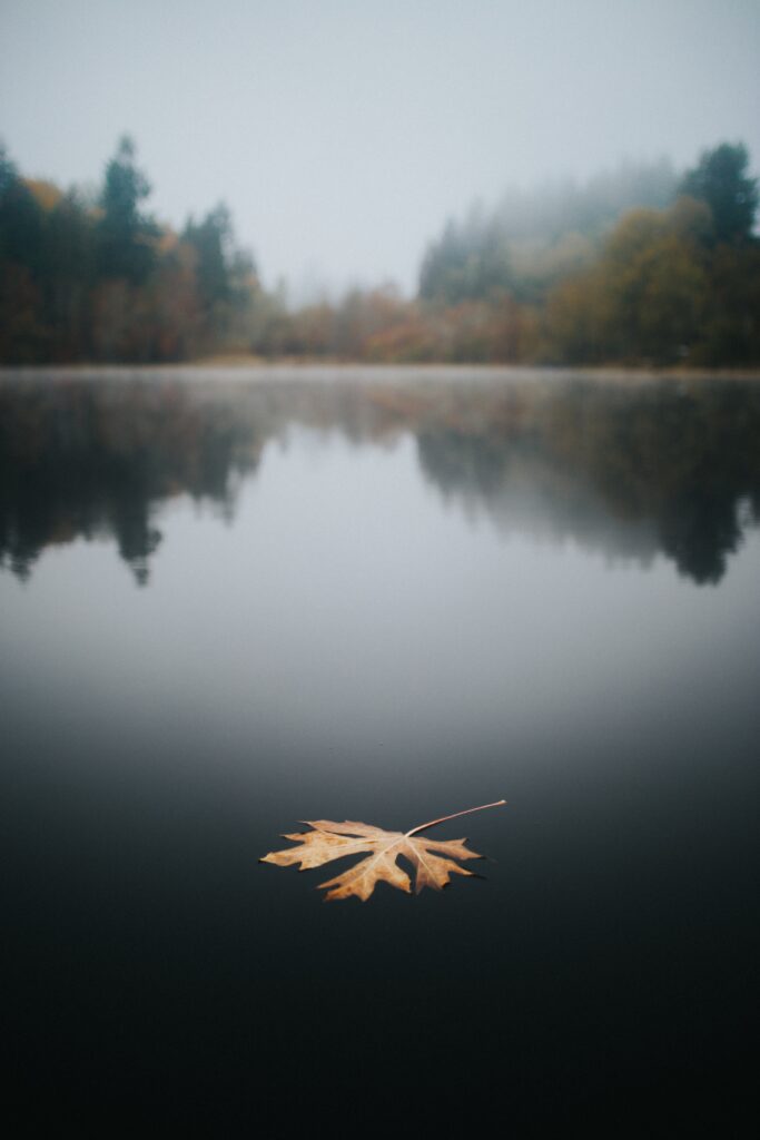 fall kayaking